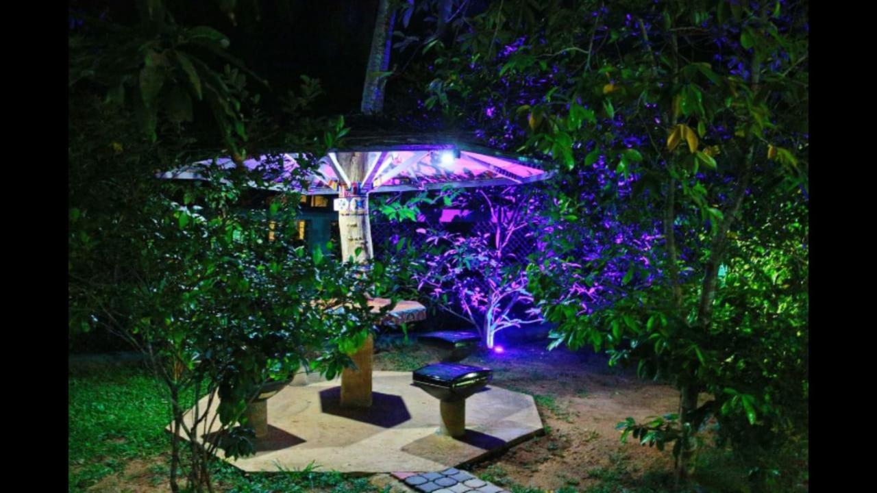 Homestay Ocean